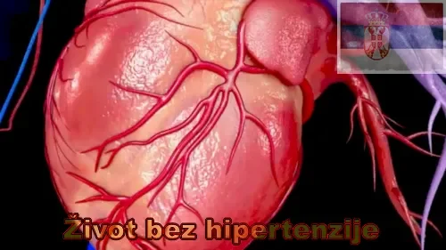 Sta je hipertenzija srca.